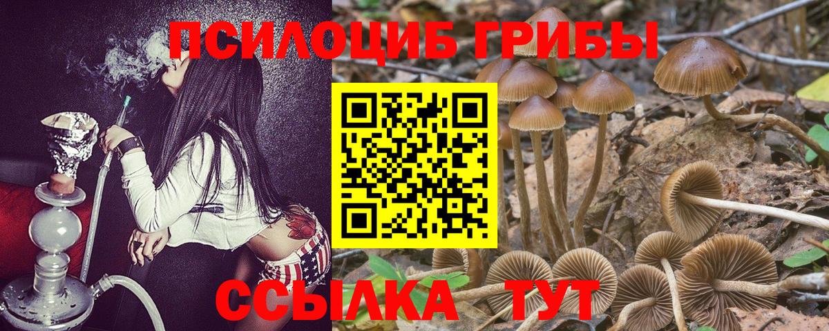Галлюциногенные грибы MAGIC MUSHROOMS Нижний Новгород