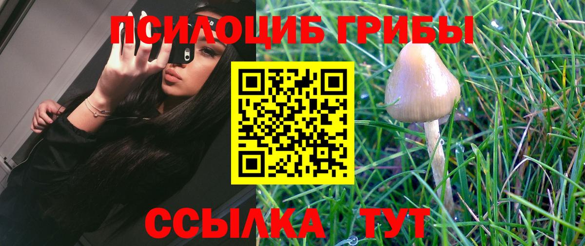 Галлюциногенные грибы Cubensis  как найти закладки  Нижний Новгород  Вход с VPN 